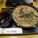 찌나의 첫 일본여행기 - 7 이미지