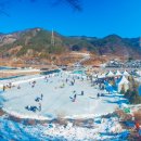 초리넝쿨마을 이미지