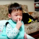 땡깡쟁이