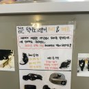 헤리베르1 이미지