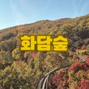 어리연 | 2025 가을 단풍 명소 화담숲 방문기 | 가을 시즌 예약 방법·주차·코스 완벽 정리