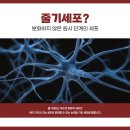 원셀메디의원 이미지