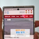 브라보PC월드 | 도쿄 올림픽 실시간 경기 중계 서핑 방송 보기 경기일정
