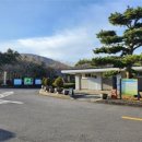 노루생태관찰원 네이버블로그