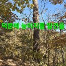 윈풀 이미지