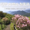 7080낭만콘서트 | 단양 소백산 철쭉제 영주 비교 등산코스 가는법 총정리