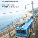 바다여행사 이미지