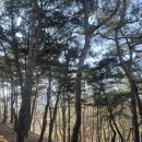 청우힐링 이미지