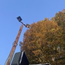 효지미 | 8월, 여름 밴프 여름 캘거리는 무지 더워요(positive)