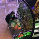 스위티 | 홍대 방탈출 추천 지구별방탈출 라스트시티점 스위티 후기 입문용 추천