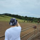 우림목장 이미지