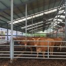 형우농장 이미지