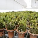 갑동농장 이미지