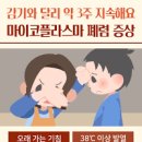 폐렴 마이코플라즈마 원인 폐렴 전염 정리 이미지