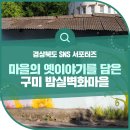 밤실쉼터 | 마을의 옛이야기를 담은 도량동 밤실 벽화마을