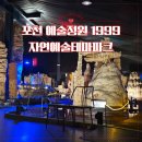 고래동물병원 | 포천 예술정원1999 자연예술테마파크 후기 ㅣ고대어 수족관부터 보석광물관 공룡화석 대형 카페까지...