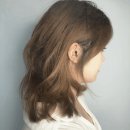 우성헤어 네이버블로그