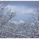 천하촌펜션 이미지