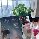달호식당 | &lt;서평&gt;구미호식당 5. 안녕 기차역 /박현숙 장편소설/특별한서재