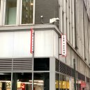 뉴욕횟집 | 뉴욕 구겐하임 미술관, 쇼핑 후기(스킴스, 스투시, 에임레온도르)