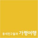 해뜨는 숲속 이미지