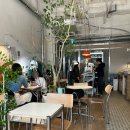 커피나루 | 마곡나루 카페 (구)해례커피 (현)피핀커피로스터스 붕어빵 맛집 내돈내산 후기