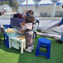 경진할인마트 | 2025 강진청자축제 in 기본 정보 및 방문 후기