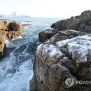 부산얼음 - 사하구 | 부산얼음