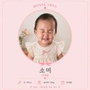 쉐프 | 피에스타 원목 주방놀이 우든쉐프 내돈내산 후기 조립 난이도부터 19개월 아기 사용기