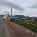 용지농협주유소 이미지