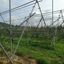 지성농장 이미지