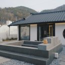 스테이담 이미지