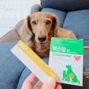 새로나약국 이미지