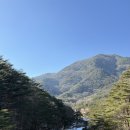 CU 동해무릉숲점 이미지