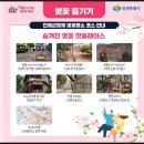 2024 봄의왈츠 이미지