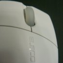 Elecom Web Expert Mouse 이미지