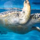 남쪽바다 작은 섬 이미지