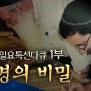 SBS 일요 특선 다큐 성탄 특집 1부: 성경의 비밀 이미지