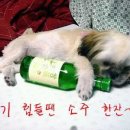 술친구 - 화성시 삼천병마로 1273 | 술친구