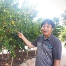 석창농장 이미지