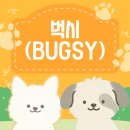 벅시 | [🍚강아지 사료 추천] 빌더 사료 정착✨ 드디어 찾았다! 저알러지 오가닉프리 사료 벅시 내돈내산 후기