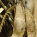 삼형제농장 이미지