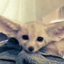 서울어린이대공원동물병원 이미지