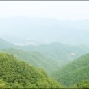 삼신봉 농장 Daum카페