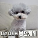 몽스케치 이미지
