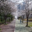 매곡도서관 화장실 이미지