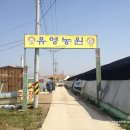 유영농장 이미지