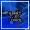 구서동맛집 봉수삼춘 구서점 신선한 고등어회에 술한잔