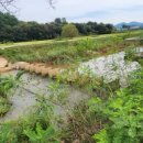 갈두천권역 이미지