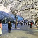 꽃길복지용구 이미지